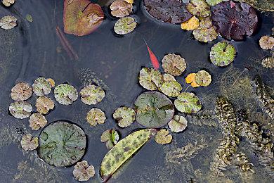 《忍者封魔传》8月17日登陆PS4和Switch